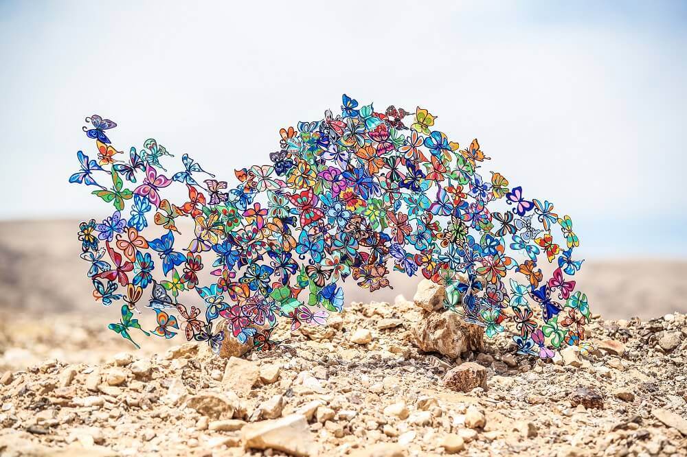 Passing With Flying Colors David Kracov