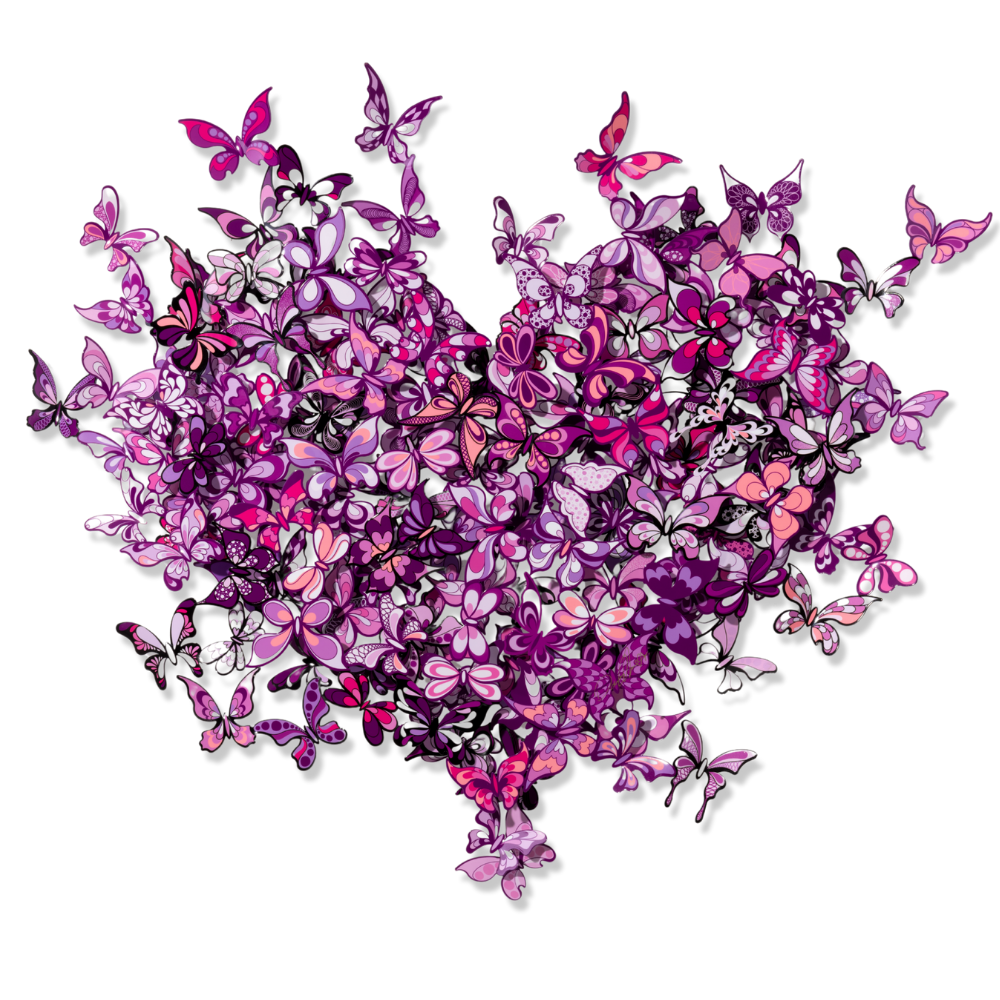 My Heart Is All a Flutter – Pink – David Kracov
